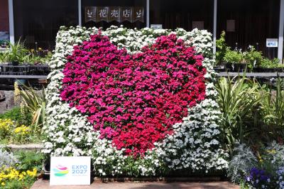 ５月の大船・藤沢（後半）☆大船フラワーセンター・慈眼寺・清浄光寺（遊行寺）☆2024/05/17