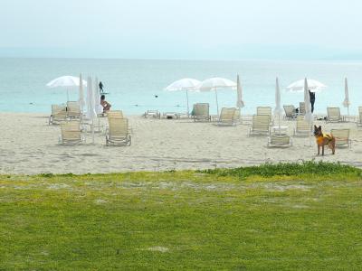 ○o。.最高に楽しかった♪バスで行くやんばる沖縄ひとり旅vol.2（オクマプライベートビーチホテル編）2024初夏.。o○
