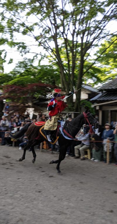 GW富山旅③（やんさんま〈流鏑馬〉・五箇山の世界遺産合掌造り集落・城端曳山祭）