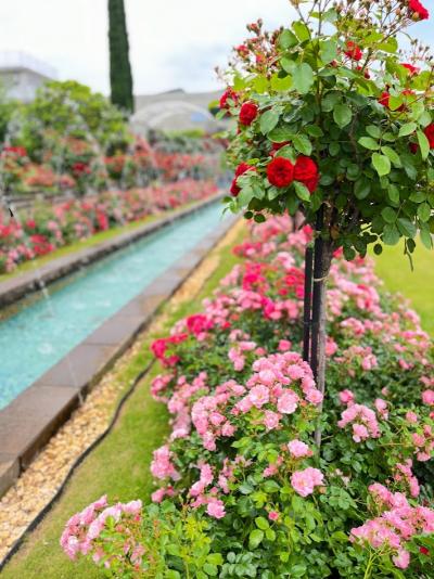 初夏のイタリア山庭園と馬車道で南インドカレー