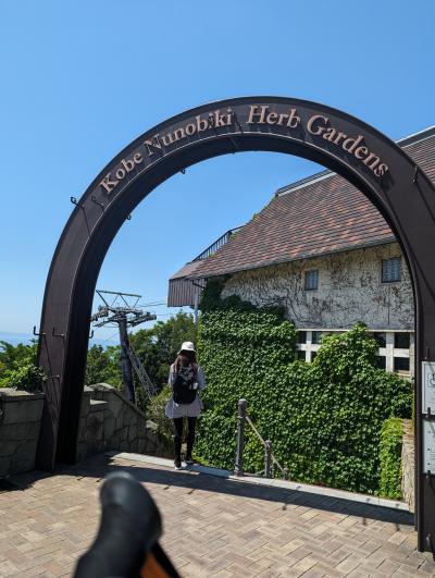 「この山がエエワ」とちーさん言ったから 五月の土曜は摩耶ダ記念日