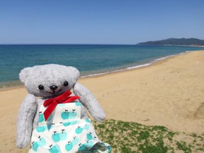 京都 & 姫路2024(1) ハワイを思い出す青い海とコーヒーに癒されて