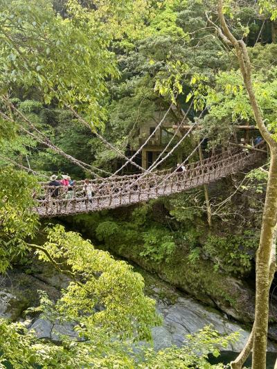 四国11日間2祖谷渓