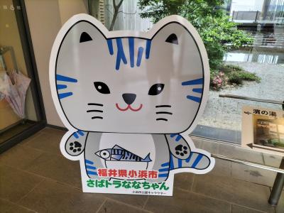 小浜で和食の朝ごはんとイタリアンの昼ごはん、シメはくずまんじゅう