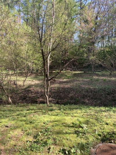 オープンしたばかりのグランドメルキュール八ヶ岳へ