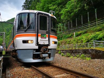 臨時急行飯田線秘境駅号の旅