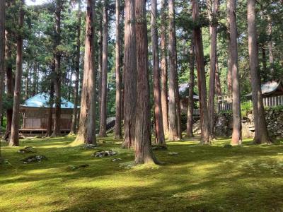 福井めぐり（丸岡城、永平寺、平泉寺白山神社）