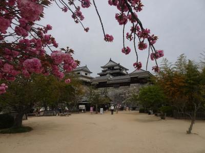 ９日間で愛媛県をグルっと巡ってきました。⑫江戸時代最後の完全な城郭建築が残ってる松山城へ！！