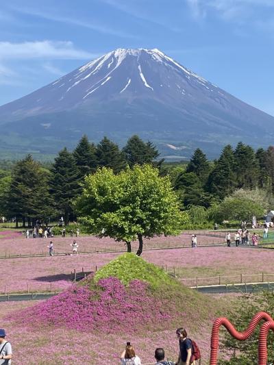 芝桜と富士山