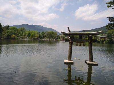 1泊2日一人旅大分由布院別府の旅②