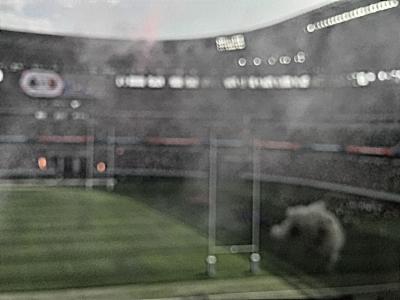 Rugby　League　One！　ラグビー観戦この頃をまとめた