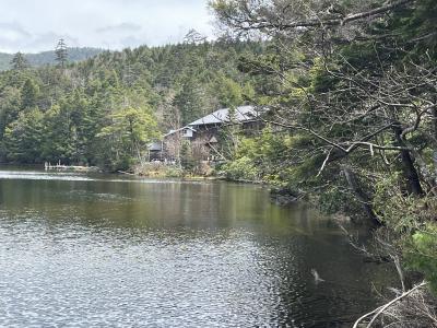 北八ヶ岳の麦草峠を起点に丸山、高見石、白駒の池をトレッキング