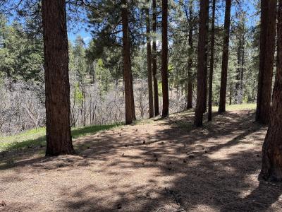 グランドキャニオンノースリムでキャンプ