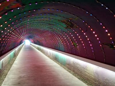 高雄（４）旗津　フェリーで５分