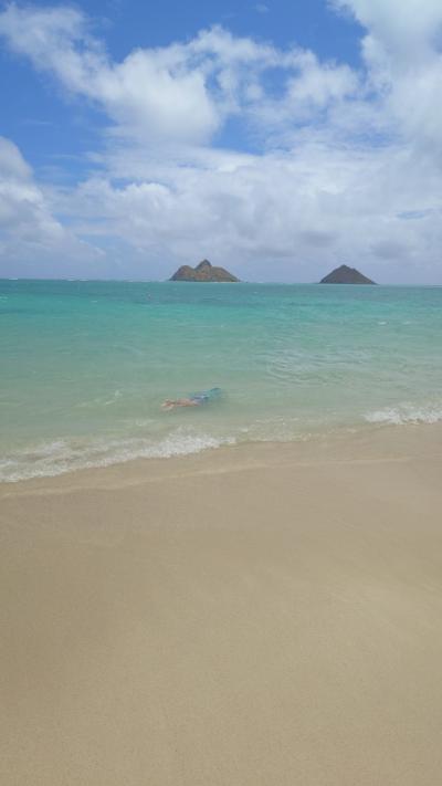 約5年ぶり!!!11歳と6歳子連れハワイ旅②～2日目カイルア～