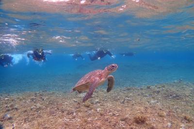 梅雨の石垣島&西表島3泊4日女子旅(3日目 バラス島半日シュノーケル 星野リゾート西表島ホテル泊&最終日)