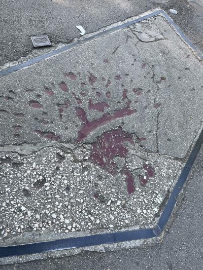 サラエヴォのバラ