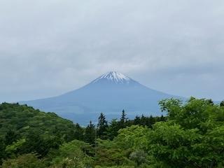 初夏の箱根散策
