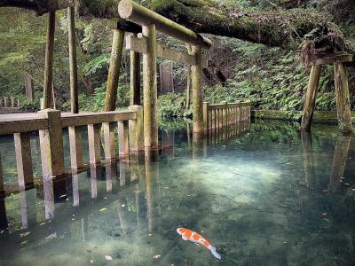 peach のセールで成田へ　そこから先は　・・・　で 東京近郊アラカルト ③　鹿島神宮 & 佐原