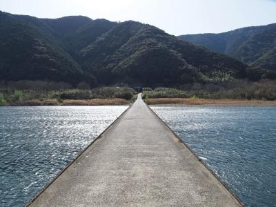 高知の旅〈４〉四万十川を満喫☆遊覧船に沈下橋、牛も♪帰り道はどうでしょう聖地でうどんを食す