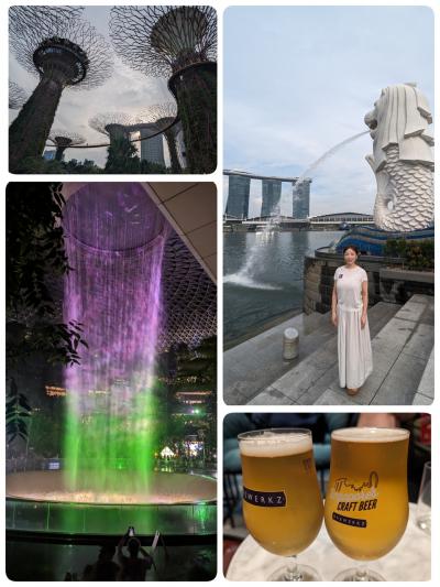3泊5日15年ぶりのアンコールワット+駆け足シンガポール③全部無料でお得に観光＆空港で野宿