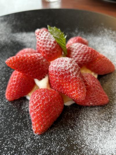 今年は遅かった？？ 花とグルメの備忘録 2024 春