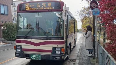 路線バスで京都を歩く2311　「京都バス32系統に乗って、京都市最北端の大悲山峰定寺＆花脊の三本杉」　～京都～