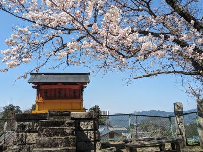 奈良２日目：鹿寄せに、吉野と壺阪寺で桜を愛でるバスツアー