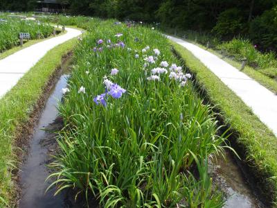 ステップトラベル日帰り伊勢の旅2024