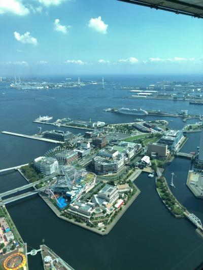 ランドマーク　69階展望フロア　スカイガーデンにお一人様で行ってみた