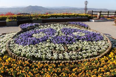 和歌山*日帰りドライブ♪【有田川町鉄道交流館・椿山レイクブリッジ・湯の峰温泉・にぎわい市場・橋杭岩】