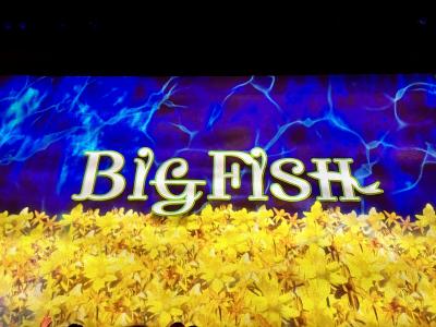 ２０２４ SKYMARKでメイっぱい満喫！　星組『BIG FISH』ＳＳ席と『夜明けの光芒』、２つの初日に行ってみた♪
