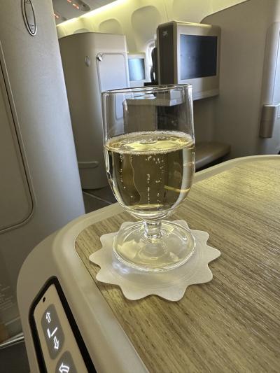 (1)* 2024年1月12日~2月9日《伊・仏・西 1ヶ月間シニア旅》① 関空~金浦~仁川~ローマ~ナポリ