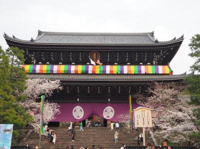 青春１８きっぷの旅 ２０２４年春 ［５］京都の桜も見たくて、混雑する京都の中でも空いてる知恩院を拝観