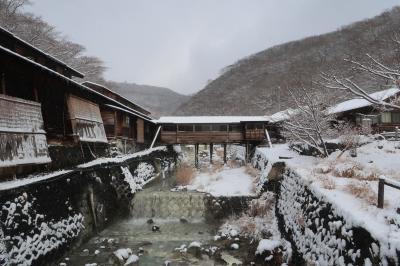 白濁の硫黄泉を求めて那須湯本温泉へ　雲海閣でひとっ風呂＆民宿松葉でまったり過ごす