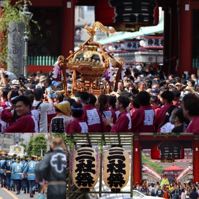 ブララブコー「江戸っ子の粋な祭り！浅草 三社祭」
