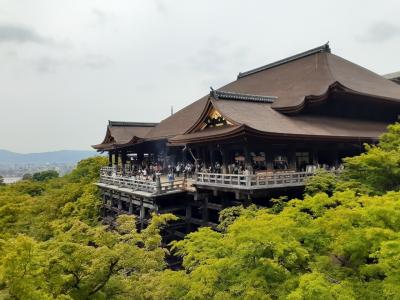大人の京都旅①　初日は王道、八坂の塔～清水寺～ねねの道　八坂神社　祇園　人を見に来たわけじゃありません。
