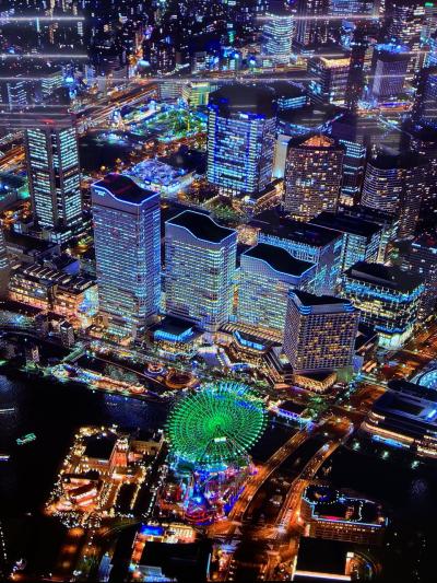 【202405】 羽島藤祭り いいじゃん羽島 海津安八そして大垣へ