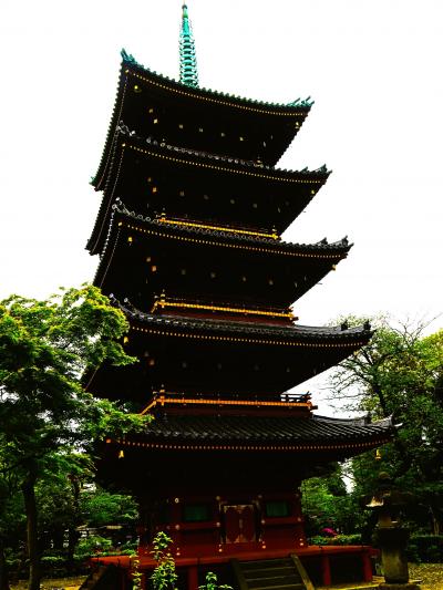 上野-5　旧東叡山寛永寺五重塔　東照宮側が正面　☆上野動物園内に建つ歴史背景は？