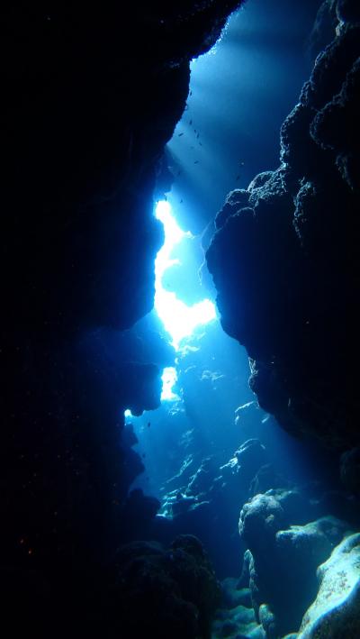 今年初潜水 2泊3日ダイビング旅