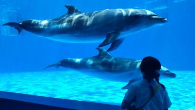 2024年6月☆小５女児と行く“神戸須磨シーワールド ”