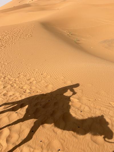 モロッコ前半　1～7日目　マラケシュ、カスバ街道、サハラ砂漠