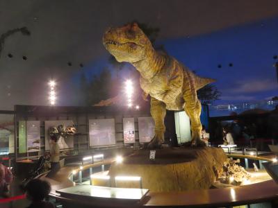 福井 勝山 福井県立恐竜博物館(Donosaur Museum,Katsuyama,Fukui,Japan)
