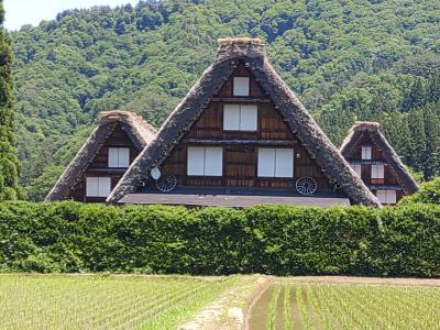 2024年6月　岐阜県　白川郷　金沢からの日帰り一人旅
