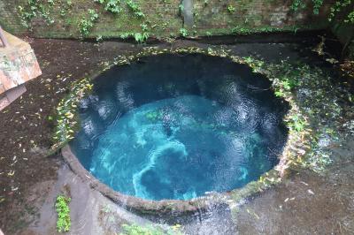 【たっぷり三島1泊2日　その１】通過することが多い三島にとどまって、じっくり観光してみた。