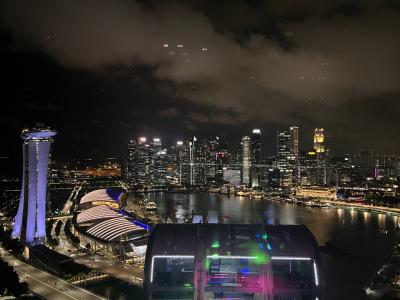 【2024】個人旅行_ブルネイ／シンガポール_2日目_ビジネスクラスの旅♪夜のシンガポール観光