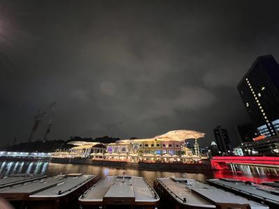 【2024】個人旅行_ブルネイ／シンガポール_3日目_ショッピングとロックライブ！