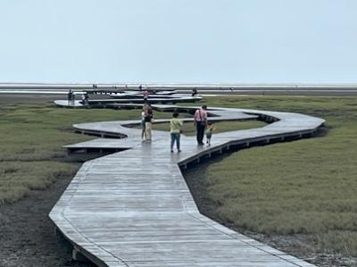 2024.5月 久しぶりの台湾街歩き(出国から台中市内)