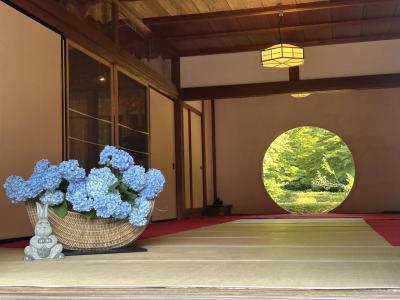 出国前に北鎌倉へ☆明月院ブルーの紫陽花がみたい.｡.:*･ﾟ 