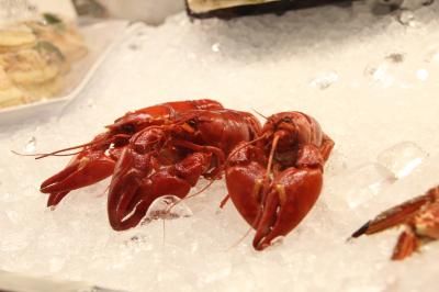 詰め込み北欧周遊旅！2015 ★ DAY3 「犬にも人にも優しい人、ありがとう。」